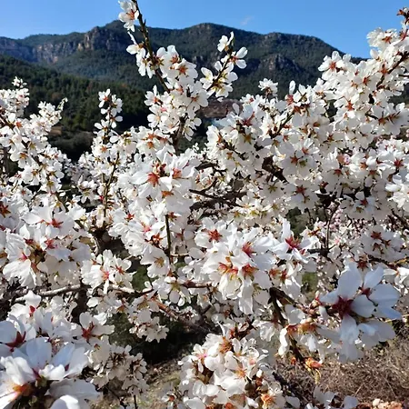 Priorat Ca La Iolanda 