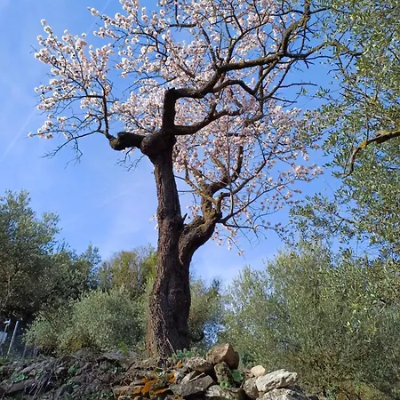 Holiday home Priorat Ca La Iolanda 